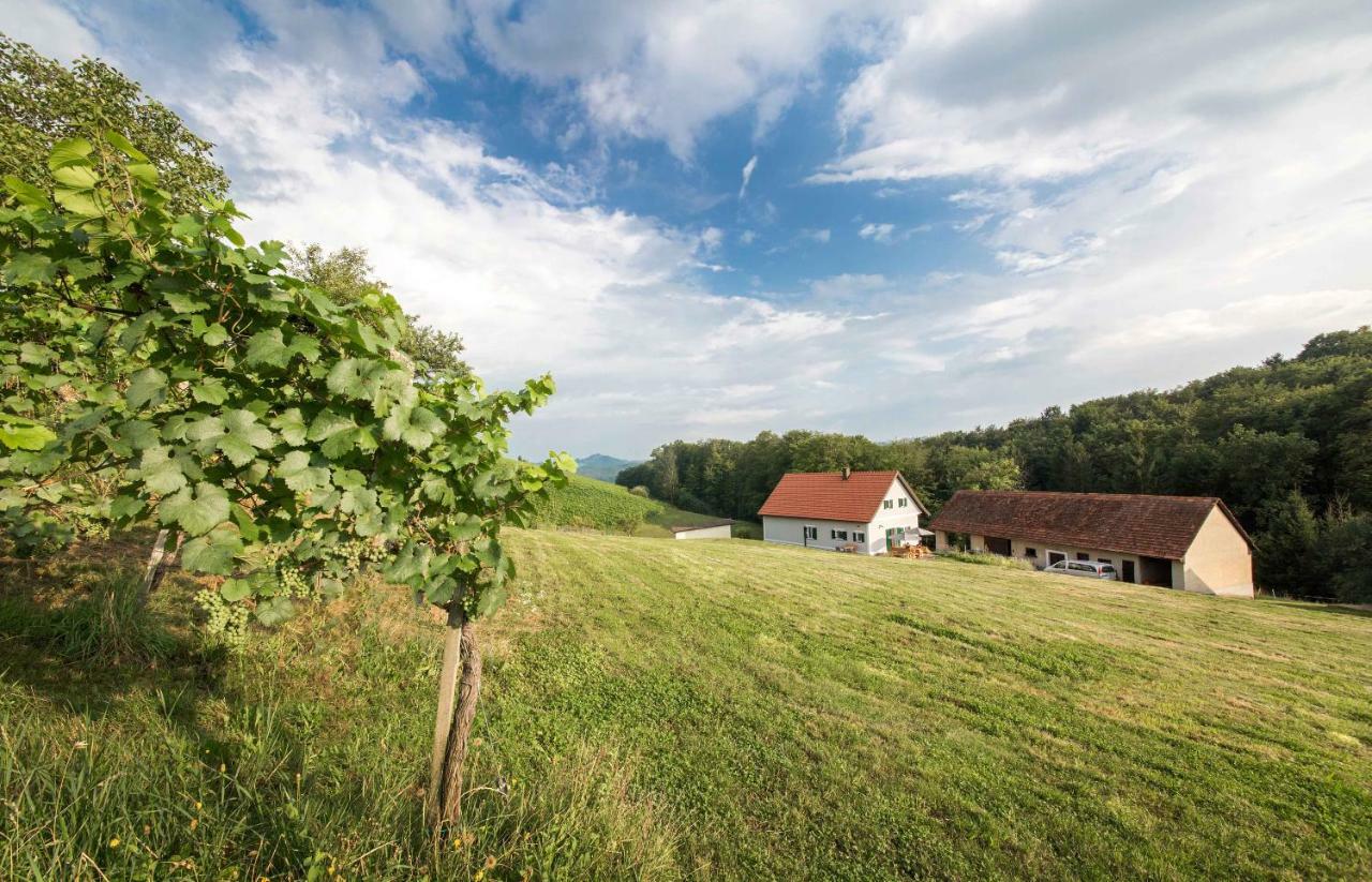 Villa Schwalbennest Pongratz Gamlitz Exterior foto